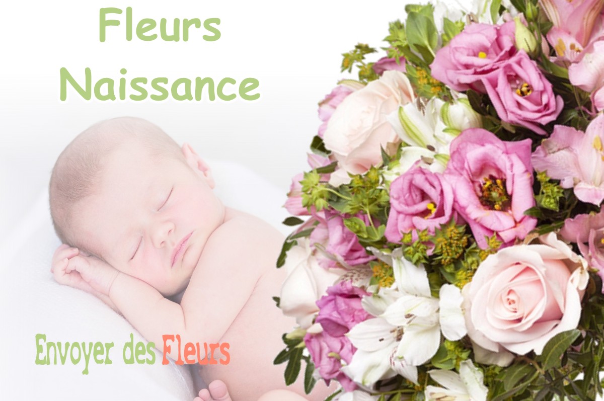 lIVRAISON FLEURS NAISSANCE à SAINT-MARTIN-DE-SEIGNANX